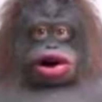 Hello There Friend :)
