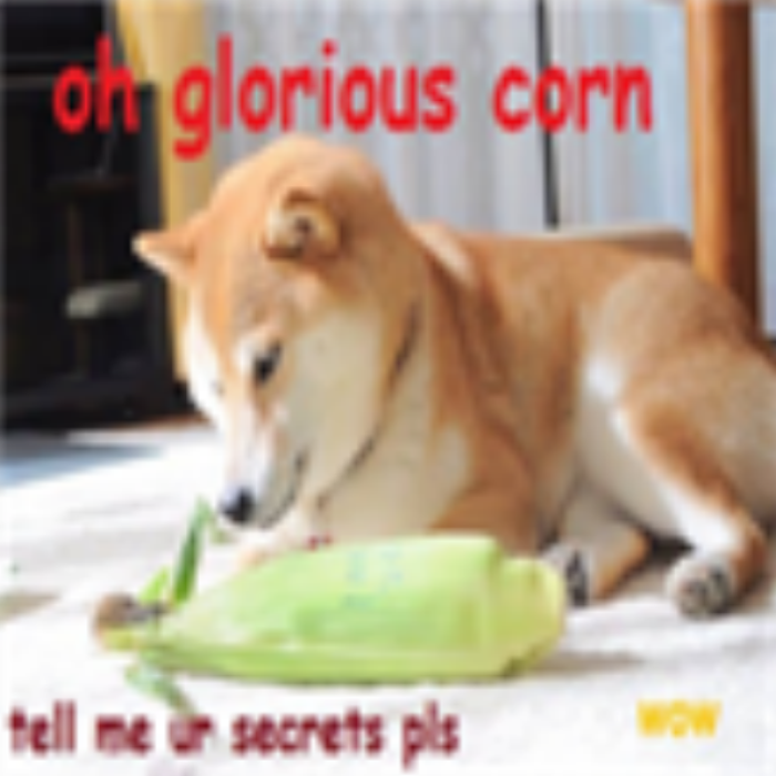 Funny dog 9 Roblox decal