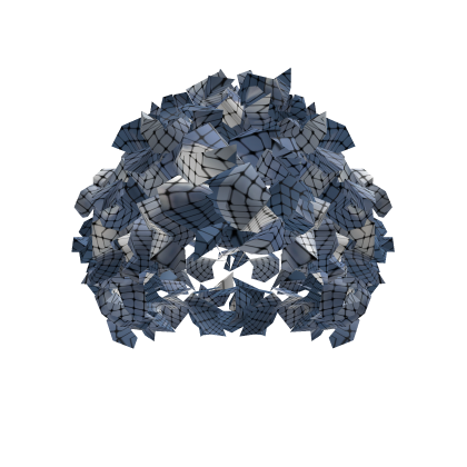 disco curly hair Roblox item