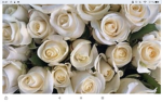 Laxori's page