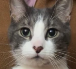 Yuki is Hungry Group Thumbnail