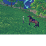 horse cool grup