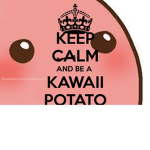 MAGIC POTATOES