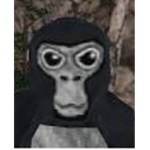 GORILLA HUT, HOME FOR THE GORILLA