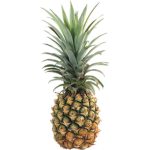 PINEAPPLE MELON GROUP