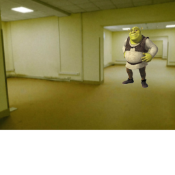 Survive memes in the backrooms