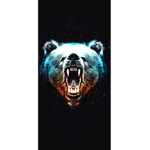BEAR FAMILY GROUP
