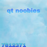 qt noobies
