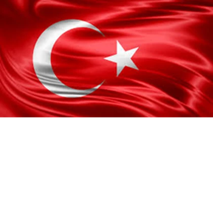 Robux Türkiye Roblox group icon