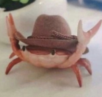 Crab Alliance