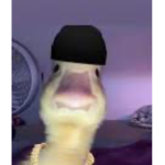Mr Duck’s Clothing Group