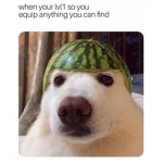 Doggy’s are the best