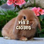 vias closet