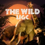 Animalware Group Thumbnail
