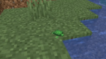 Jarrel The Baby Turtle