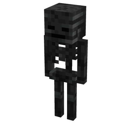 Wither Skeleton Suit