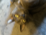 Tile Terror