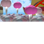 CANDY GROUP AND FANCY GROUP
