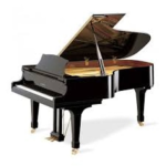 piano funds and friends