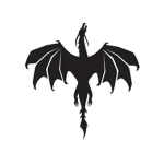 Team Black Dragons