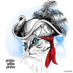 Pirate's Ship