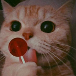 Murder<Mistery2