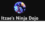 Subscribe to Ichi ninja dojo