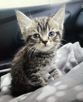 Follow for follow cool
