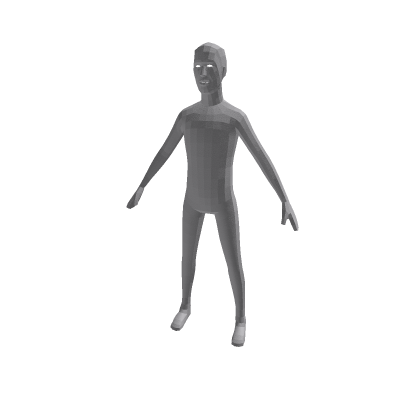 Rendermesh