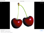 ###CherrySquad