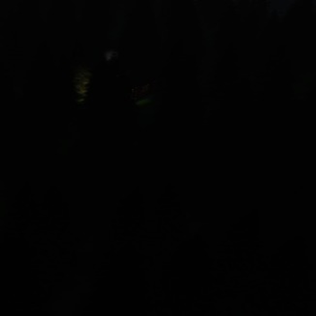 CREEPY FOREST!!