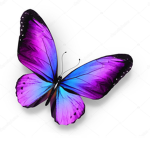 Butterfly…Crew