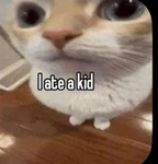 Cool cats club yess