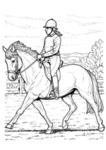 Horse Riders ♥