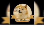 The Doge Rulers of the World