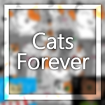 Cats Forever !