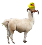 The Headcrab Duck Llamas