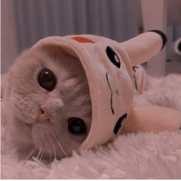 ૮꒰ ˶• ༝ •˶꒱ა