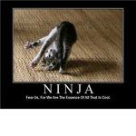 ninja emporers/trainers/masters