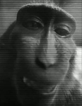 n0th1ngne$$