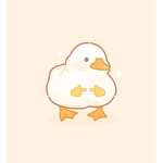 - flutter -