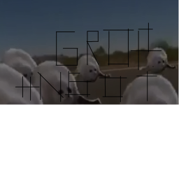 Seal group hangout! (Remade)