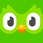 Wero [Duolingo]
