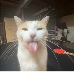 Best obby