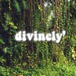 divinely’