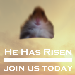 hamster church
