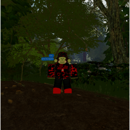 The Forest