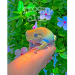 +-*~froggy club~*-+