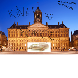 THE FROG FORTRESS