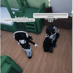 Okiju